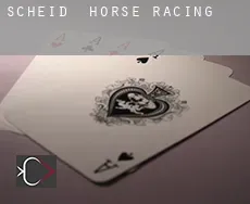 Scheid  horse racing