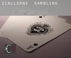 Ziallerns  gambling