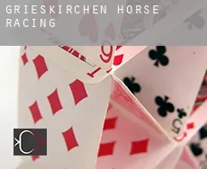 Politischer Bezirk Grieskirchen  horse racing