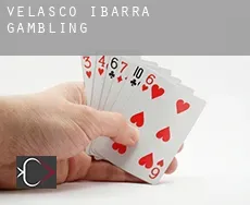 Velasco Ibarra  gambling