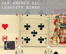 San Andrés del Congosto bingo