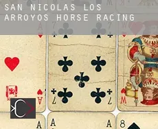 San Nicolás de los Arroyos  horse racing