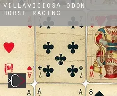 Villaviciosa de Odón horse racing