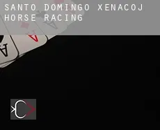 Santo Domingo Xenacoj  horse racing