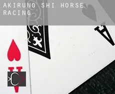 Akiruno-shi  horse racing