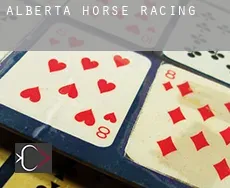 Alberta  horse racing