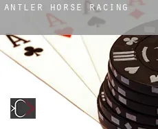 Antler  horse racing