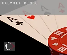 Kalvola bingo