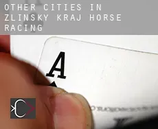 Other cities in Zlinsky kraj horse racing
