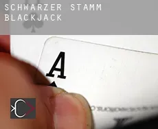 Schwarzer Stamm blackjack