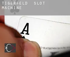 Tigerfeld slot machine