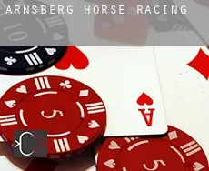 Arnsberg District  horse racing