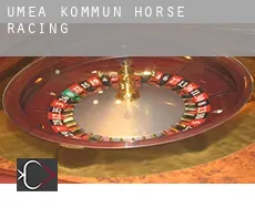 Umeå Kommun  horse racing