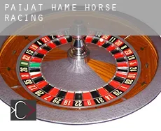 Päijät-Häme horse racing