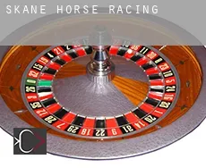 Skåne  horse racing