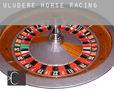 Uludere horse racing