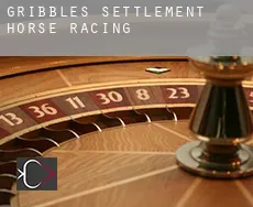 Gribbles Settlement  horse racing