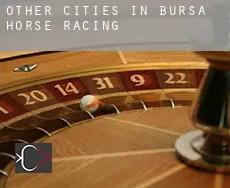 Other cities in Bursa  horse racing