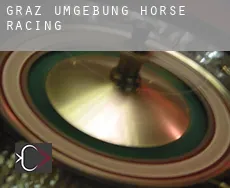 Politischer Bezirk Graz Umgebung  horse racing