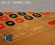 Wels  gambling