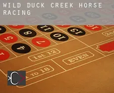 Wild Duck Creek horse racing