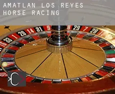 Amatlán de los Reyes horse racing