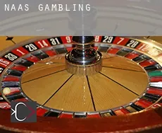 Naas  gambling