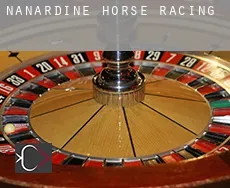 Nanardine  horse racing