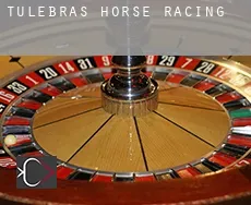 Tulebras horse racing