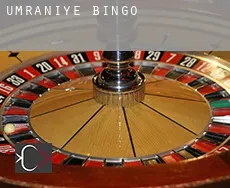 Umraniye  bingo