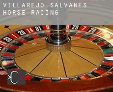 Villarejo de Salvanés  horse racing