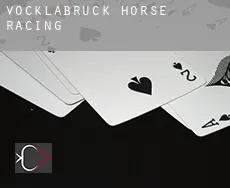 Politischer Bezirk Vöcklabruck  horse racing