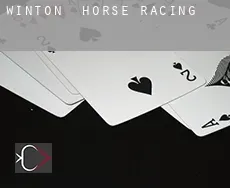 Winton horse racing