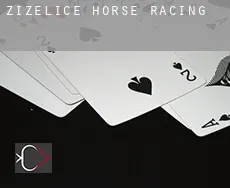 Žiželice  horse racing