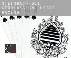 Steinbach bei Geroldsgrün  horse racing