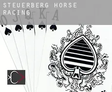 Steuerberg  horse racing