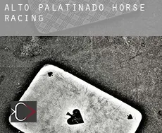 Upper Palatinate  horse racing