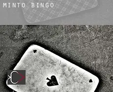 Minto  bingo