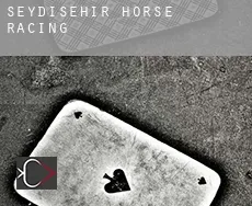 Seydişehir  horse racing