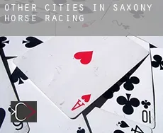 Other cities in Saxony  horse racing