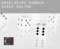 Ängelholms Kommun  horse racing