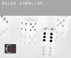 Baláo  gambling