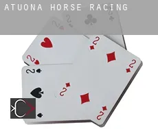 Atuona  horse racing