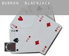 Burrow  blackjack