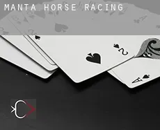 Manta  horse racing