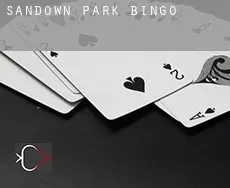 Sandown Park bingo