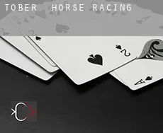 Tober  horse racing