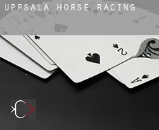 Uppsala  horse racing