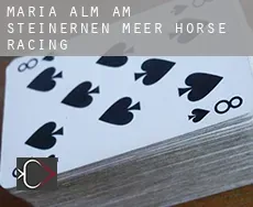 Maria Alm am Steinernen Meer  horse racing