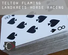 Teltow-Fläming Landkreis horse racing